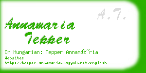 annamaria tepper business card